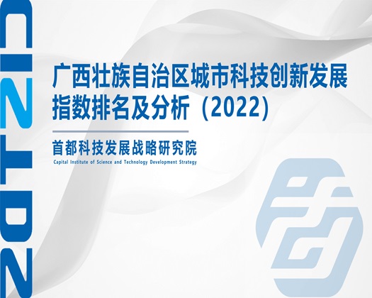 男女日逼网站【成果发布】广西壮族自治区城市科技创新发展指数排名及分析（2022）